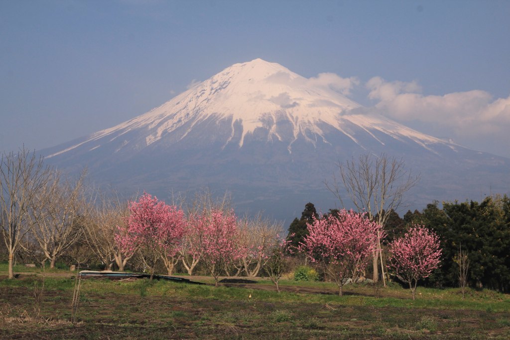 a0188405_16451367.jpg