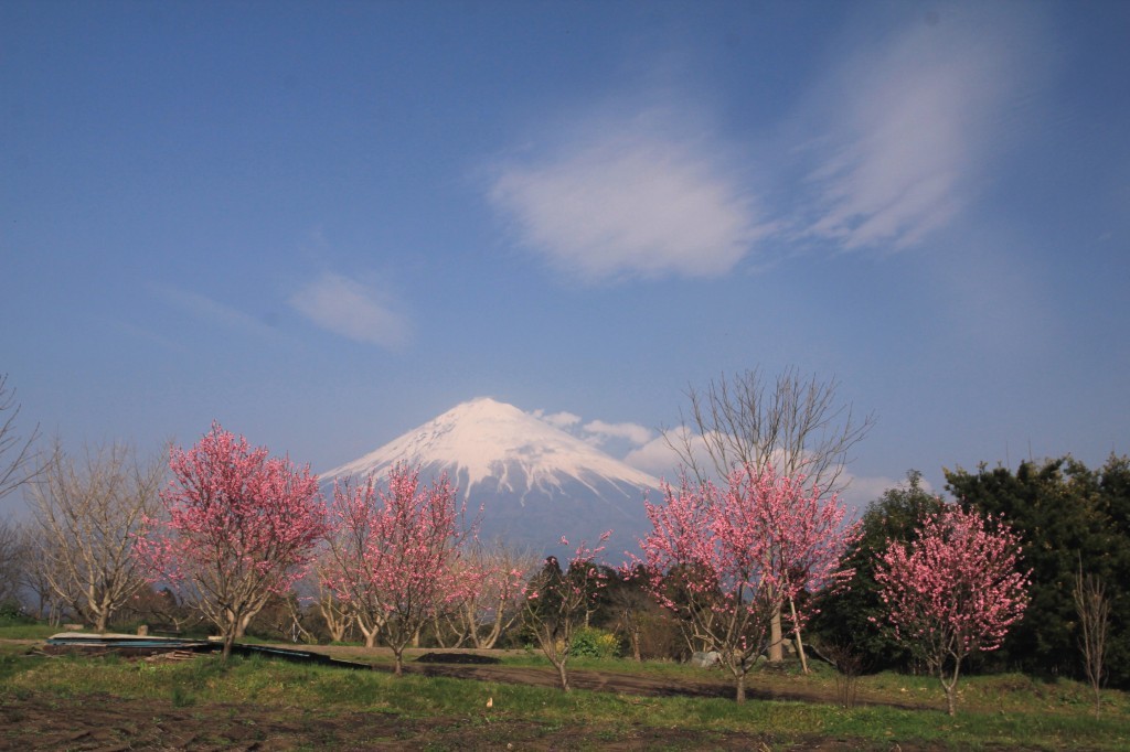 a0188405_16451880.jpg