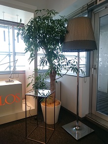 d0091909_14211886.jpg