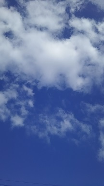 b0159210_15253341.jpg