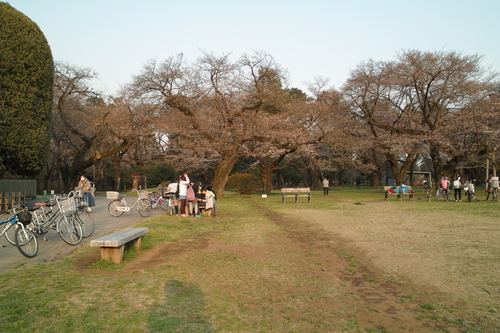 b0285619_21465963.jpg