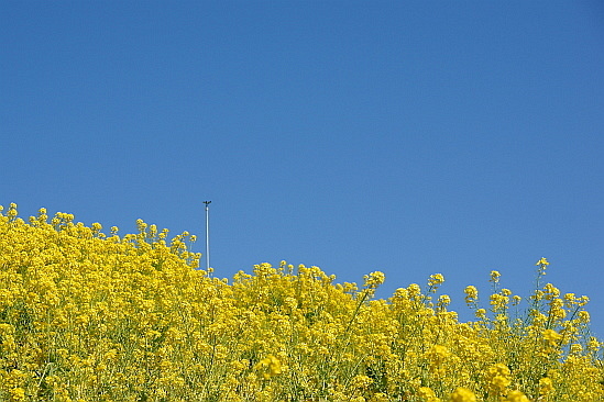 f0037227_22495689.jpg