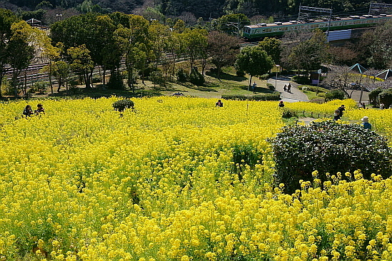 f0037227_22501019.jpg