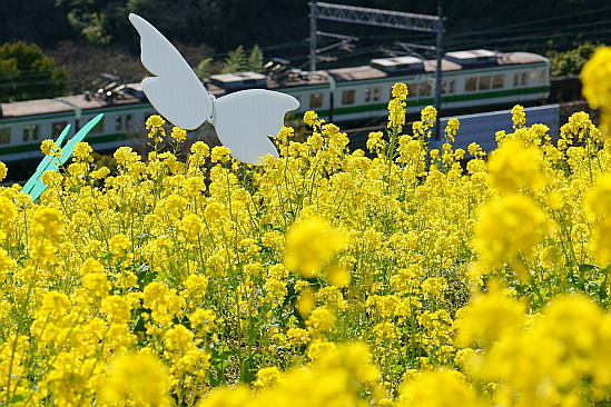 f0037227_22504525.jpg