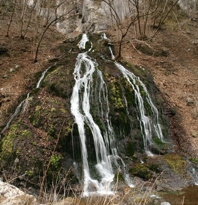 e0033229_19303922.jpg