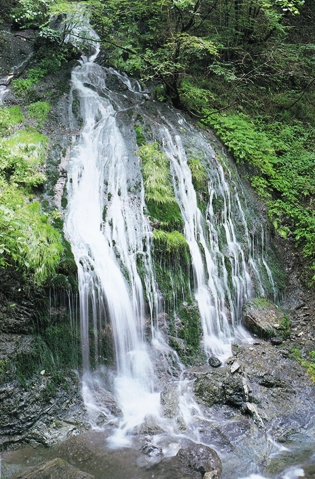 e0033229_19442921.jpg
