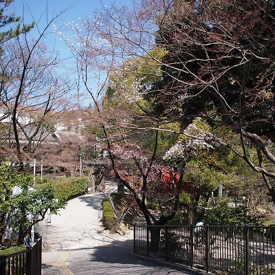 a0148431_14230940.jpg