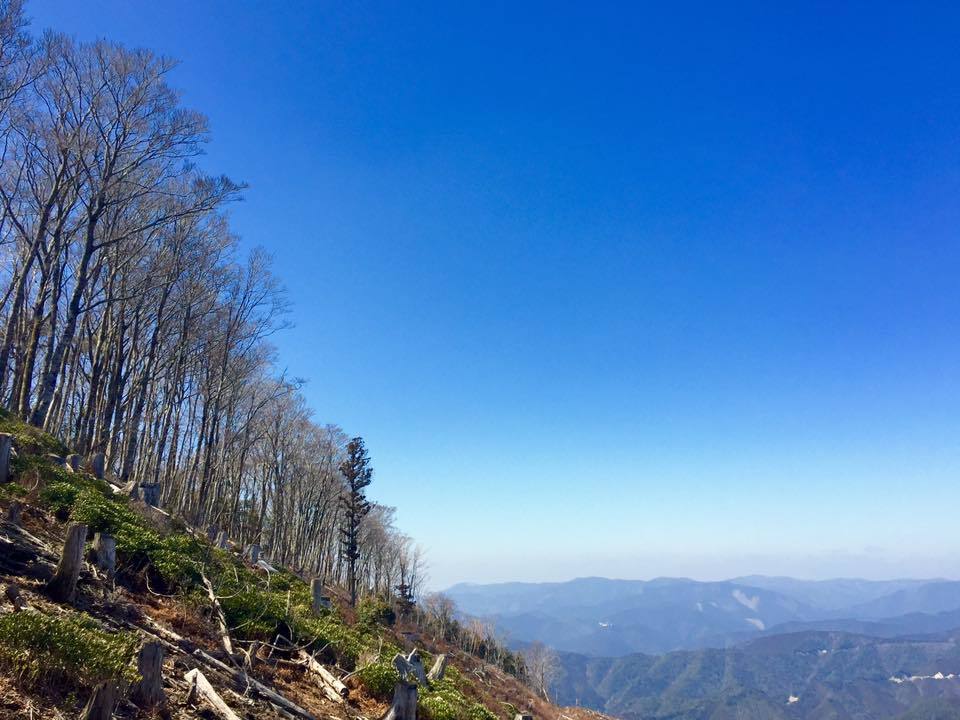 b0321833_17403460.jpg