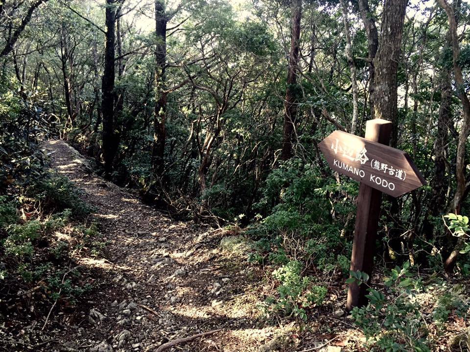 b0321833_17504393.jpg