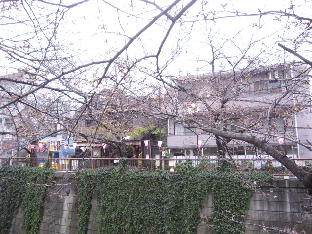 c0151934_3291866.jpg