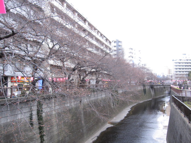 c0151934_3293685.jpg