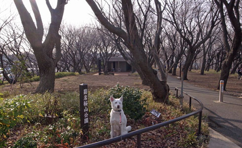 a0117039_19269.jpg