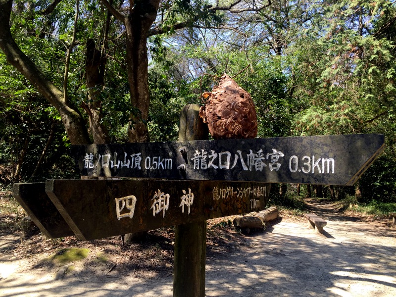 b0057140_1833778.jpg