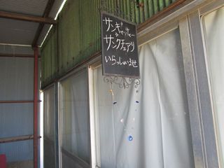 d0045362_2333139.jpg