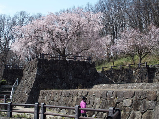 c0122670_17503839.jpg