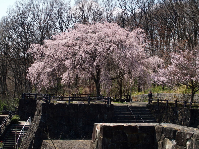 c0122670_17591646.jpg