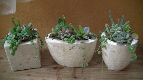 c0236172_12140000.jpg