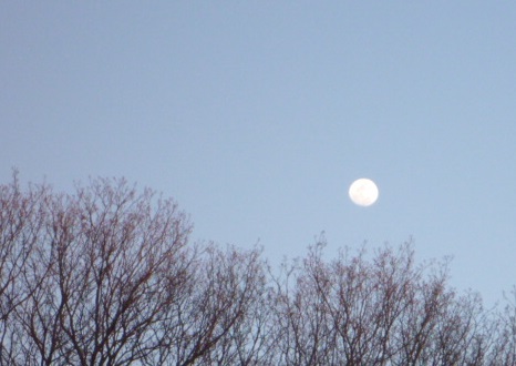 e0161972_14141643.jpg