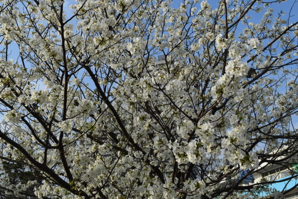 b0242873_22570970.jpg