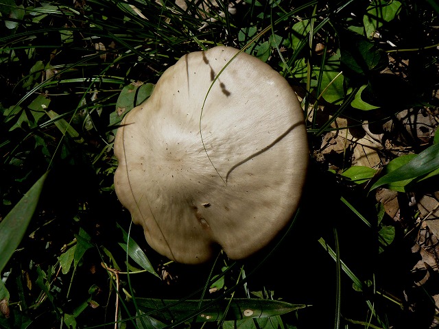 d0019074_943523.jpg