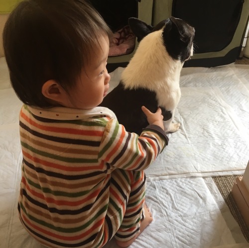 d0041575_21284159.jpeg