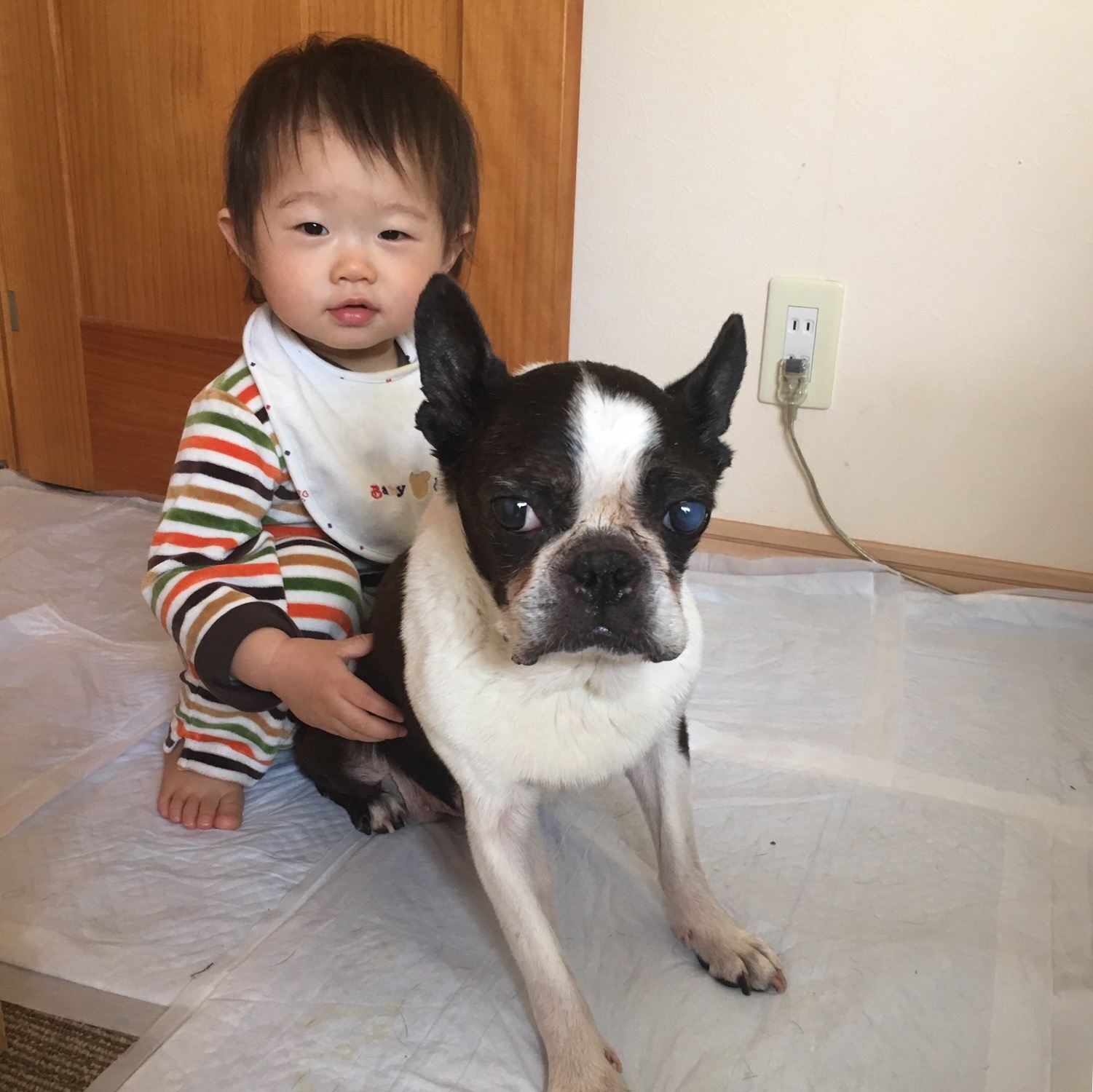 d0041575_21304764.jpeg