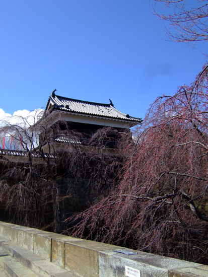 a0105480_13583077.jpg