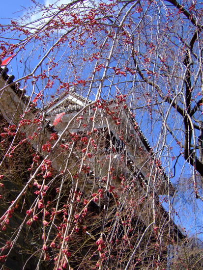 a0105480_13585395.jpg