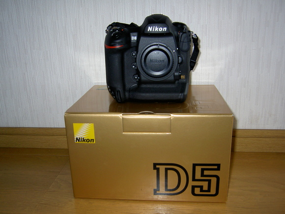 d0157380_15302965.jpg