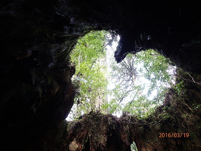 a0036693_21313994.jpg