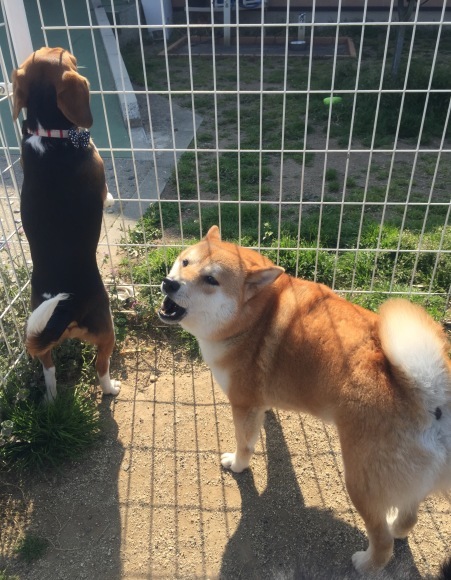 b0188998_23573158.jpeg