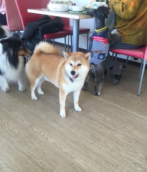 b0188998_23575614.jpeg