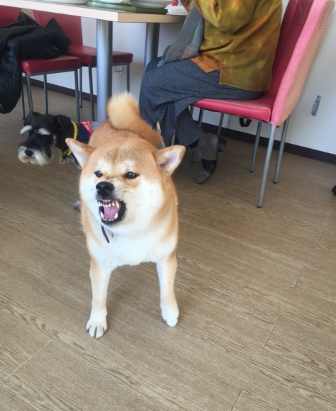b0188998_23580732.jpeg