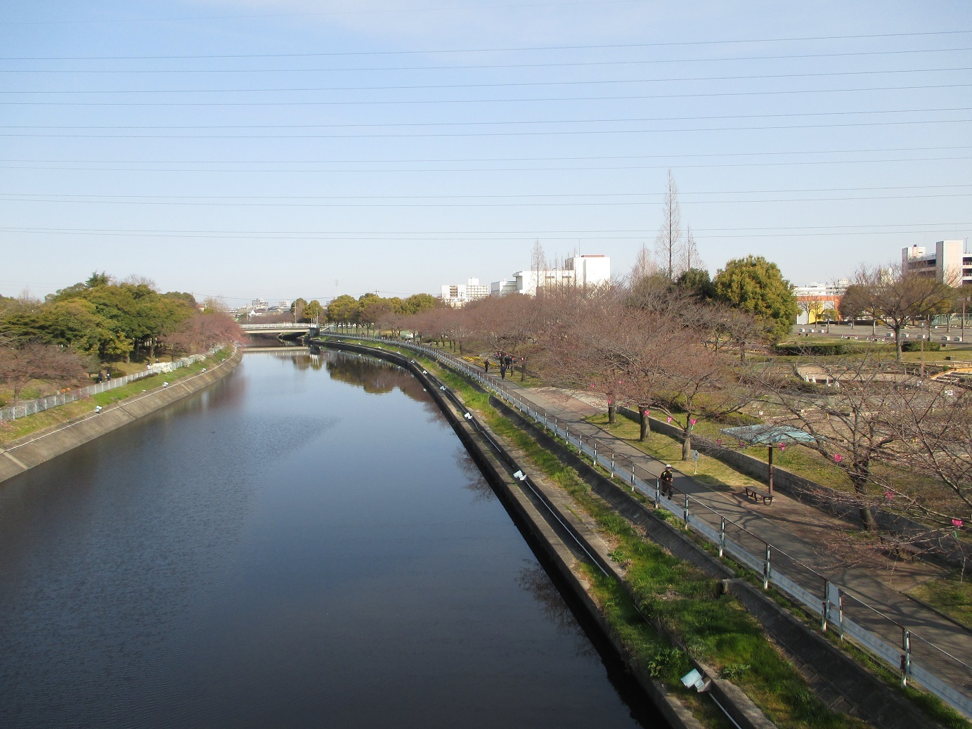 e0242504_19114577.jpg