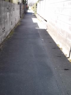 b0085408_12315590.jpg