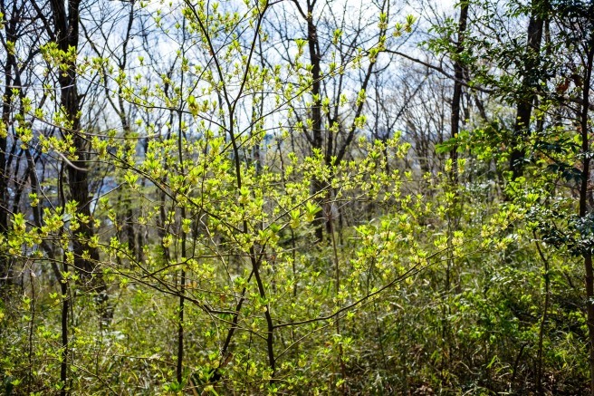 f0302208_18020129.jpg