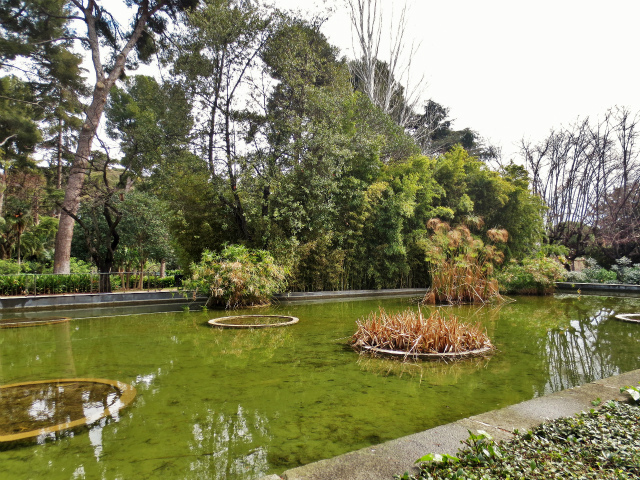 b0064411_00421353.jpg