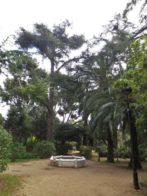 b0064411_00425850.jpg