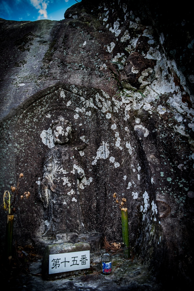 e0006219_1147192.jpg