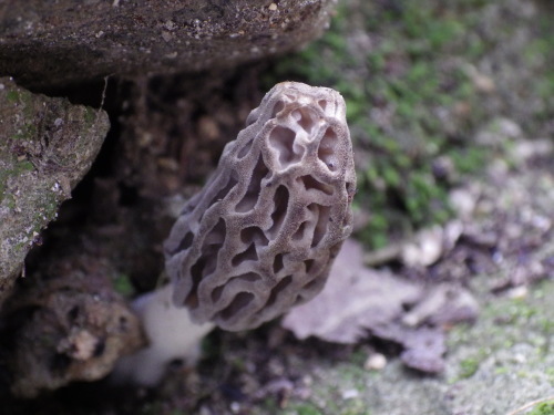 e0352220_21175281.jpg