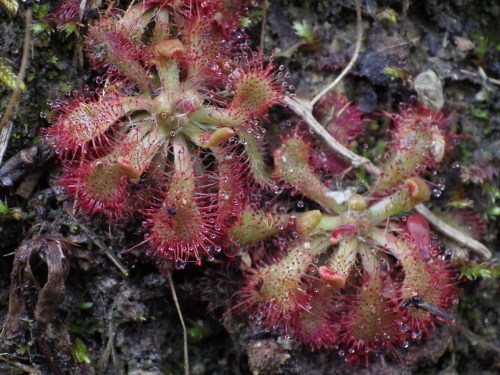 e0352220_21210545.jpg