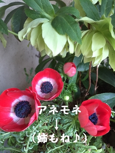 b0119525_15431098.jpg