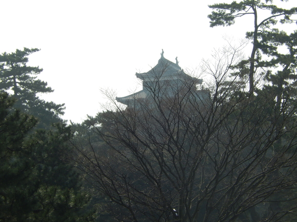 a0226627_16272987.jpg
