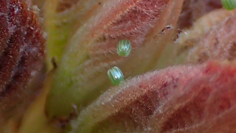 d0303129_501963.jpg