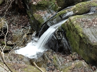 e0033229_15135995.jpg