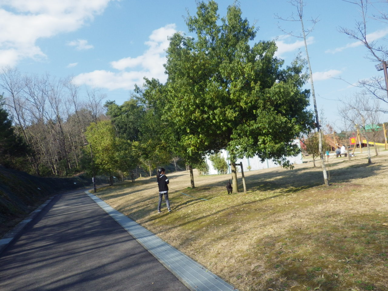 c0300035_11223187.jpg