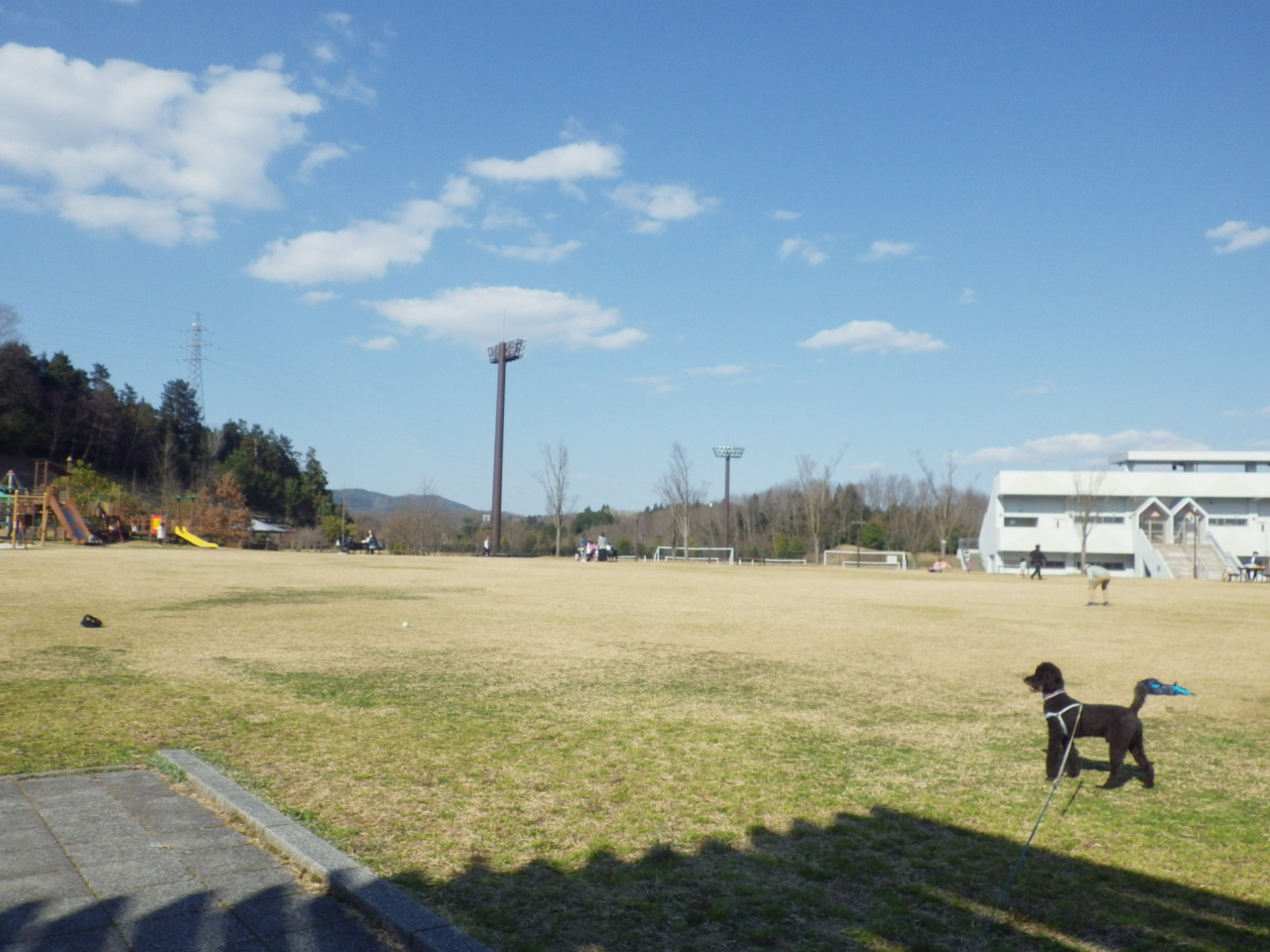 c0300035_1124478.jpg