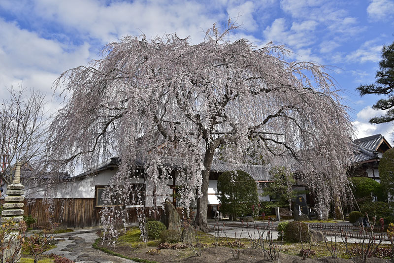 b0042837_6543183.jpg