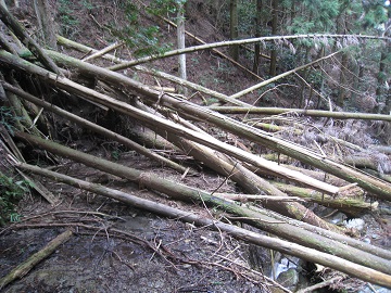 c0077338_16514418.jpg