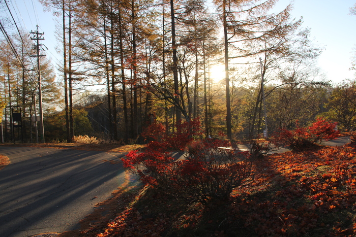 e0227139_1455015.jpg